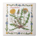 Search for dandelion tiles Garden