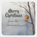 Search for robin redbreast stickers Merry christmas