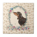 Search for paw print tiles Black