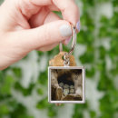 Search for birds nest key rings Woods