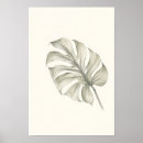 Search for monstera art Tropical