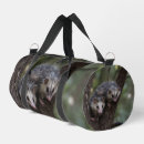 Search for possum bags Wildlife