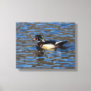 Search for male canvas prints Nature
