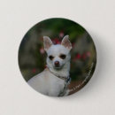 Search for watched badges White