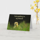 Search for wildlife get well cards Nature