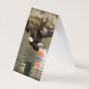 Search for canadian wildlife cards Birds