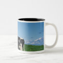 Search for cows in field mugs Horizontal