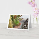 Search for egyptian cards Nature