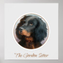 Search for gordon posters Setter