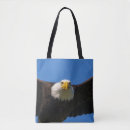 Search for bald eagles bags Bird of prey