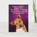 Search for from dog to owner birthday cards Dogs
