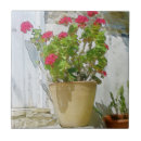 Search for geranium tiles Nature