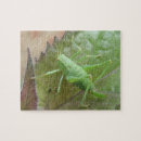 Search for cricket puzzles Animals