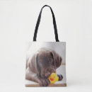 Search for rubber ducks bags Animal