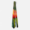 Search for tulip wedding ties Flowers