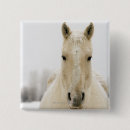 Search for horse head badges Horses