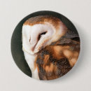 Search for barn badges Cute