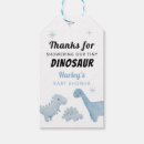 Search for dinosaur gift tags Dinosaur baby shower