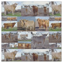 Search for sewing patterns Cow