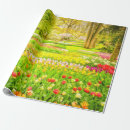 Search for daffodil wrapping paper Birthday