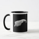 Search for asteroid mugs Meteors