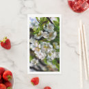 Search for apple napkins Orchard