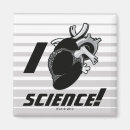 Search for anatomically magnets Anatomy