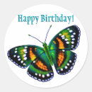 Search for teal butterfly stickers Butterflies