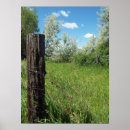 Search for fencing wire posters Country