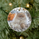 Search for photo pet memorials Dog