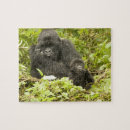 Search for gorilla puzzles Wildlife