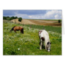 Search for chestnut cards Farm