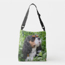 Search for tried bags Puppy