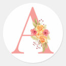 Search for pink orange flower stickers Floral