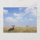 Search for rear view postcards Outdoors