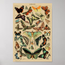 Search for papillion posters Vintage