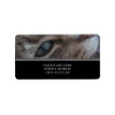Search for domestic cat return address labels Animals