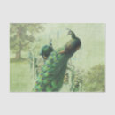 Search for peacock tissue paper Decoupage