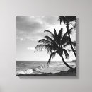 Search for black and white tree canvas prints Palm