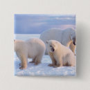 Search for polar animals badges Global warming