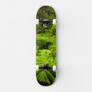 Search for fern skateboards Foliage