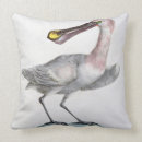 Search for 18th century cushions Birds