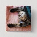 Search for sleeping badges Animal head