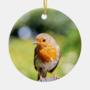 Search for robin christmas tree decorations Wildlife
