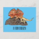 Search for frilled Lizard