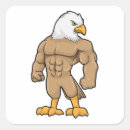 Search for six pack stickers Fitness