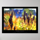 Search for pod posters Nature