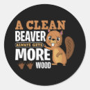 Search for funny cleaning stickers Humor