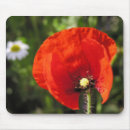 Search for red poppies mousepads Flower