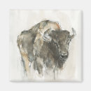 Search for buffaloes magnets Bison